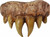 Vampire Master Fangs Bitmares Horror Teeth Adult Costume Accessory