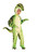 T-Rex Plush Dinosaur Tyrannosaurus Animal Fancy Dress Halloween Child Costume
