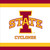 Iowa State Cyclones NCAA University College Sports Party Paper Beverage Napkins
