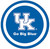 Kentucky Wildcats NCAA University College Sports Party 9" Paper Dinner Plates
