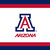 Arizona Wildcats NCAA University College Sports Party Paper Luncheon Napkins