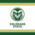 Colorado State Rams NCAA University College Sports Party Paper Luncheon Napkins