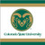 Colorado State Rams Gold NCAA University College Sports Party Beverage Napkins