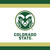 Colorado State Rams White NCAA University College Sports Party Beverage Napkins