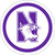 Northwestern Wildcats NCAA University College Sports Party 9" Dinner Plates