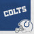 Indianapolis Colts NFL Pro Football Sports Banquet Party Bulk Luncheon Napkins