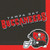 Tampa Bay Buccaneers NFL Pro Football Sports Banquet Party Bulk Luncheon Napkins