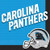 Carolina Panthers NFL Pro Football Sports Banquet Party Bulk Luncheon Napkins