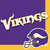 Minnesota Vikings NFL Pro Football Sports Banquet Party Bulk Luncheon Napkins