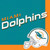 Miami Dolphins NFL Pro Football Sports Banquet Party Bulk Luncheon Napkins