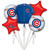 Chicago Cubs MLB Pro Baseball Sports Party Decoration Mylar Balloon Bouquet