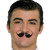 Winged English Moustache Fancy Dress Up Halloween Costume Accessory 3 COLORS