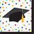 Colorful Grad Graduation Polka Dot Theme Party Paper Beverage Napkins