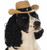 Cowboy Hat Western Sheriff Cute Halloween Pet Dog Cat Costume Accessory 4 COLORS