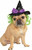 Witch Hat w/Hair Wicked Fancy Dress Up Halloween Pet Dog Cat Costume Accessory