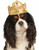 Tiara w/Stones Princess Queen Halloween Pet Dog Cat Costume Accessory 2 COLORS