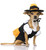 Kandy Korn Witch Pup Black Cute Fancy Dress Up Halloween Pet Dog Cat Costume