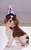 Clown Hat Collar Circus Fancy Dress Up Halloween Dog Cat Pet Costume Accessory
