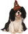 Poop Emoji Hat Cute Funny Fancy Dress Up Halloween Pet Dog Cat Costume Accessory