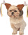 Turkey Leg Bopper Thanksgiving Funny Fancy Dress Halloween Pet Dog Cat Costume