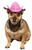 Pink Cowboy Hat Tiara Western Sheriff Fancy Dress Halloween Pet Dog Cat Costume