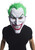 Joker Plastic Mask Hair DC Comics Fancy Dress Halloween Adult Costume Accessory