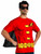 Robin T-Shirt Mask DC Comics Superhero Fancy Dress Up Halloween Adult Costume