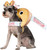 Fortune Cookie Yummy World Food Fancy Dress Up Halloween Pet Dog Cat Costume