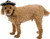 Sombrero Black Silver Pet Shop Fancy Dress Halloween Dog Cat Costume Accessory