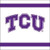 TCU Horned Frogs NCAA University College Sports Party Paper Beverage Napkins