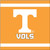 Tennessee Volunteers NCAA University College Sports Party Paper Luncheon Napkins