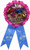 Shimmer & Shine Nick Jr Cartoon Kids Birthday Party Favor Confetti Award Ribbon