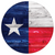 True Texan Texas Flag USA Patriotic Theme Party 9" Paper Dinner Plates