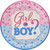 Girl or Boy Pink Blue Gender Reveal Baby Shower Party 10.5" Paper Banquet Plates