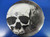 Skull Terror Halloween Party 9" Dinner Plates