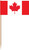 Canadian Pride Canada Day Flag Patriotic Theme Party Decoration Food Picks