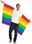 Rainbow Body Flag Pride Party Fancy Dress Up Halloween Adult Costume Accessory