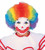 Clown Afro Wig Circus Fancy Dress Up Halloween Child Costume Accessory 2 COLORS