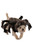 Tarantula Spider Animal Plush Fancy Dress Up Halloween Deluxe Pet Dog Costume