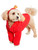 Apple Food Fruit Red Funny Fancy Dress Up Halloween Rubie's Pet Dog Cat Costume
