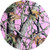 Pink Camo Next Vista Hunting Baby Shower Party 9" Paper Dinner Plates