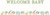 Safari Baby Pastel Jungle Animal Baby Shower Party Decoration Ribbon Banners