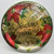 Holiday Wishes Poinsettia Holly Christmas Party 10.5" Paper Banquet Plates