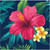 Tropic Time Tropical Flower Hibiscus Summer Luau Theme Party Beverage Napkins