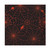 Spider Web Black Orange Haunted House Halloween Party Paper Luncheon Napkins
