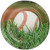 Sports Fanatic Baseball Fan Banquet Birthday Party 9" Paper Dinner Plates