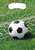 Sports Fanatic Soccer Fan Banquet Birthday Party Favor Sacks Loot Bags