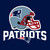 New England Patriots NFL Football Pro Sports Banquet Party Luncheon Napkins