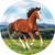 Horse & Pony Western Farm Animal Kids Birthday Party 9" Paper Dinner Plates