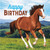 Horse & Pony Western Farm Animal Happy Birthday Party Paper Luncheon Napkins